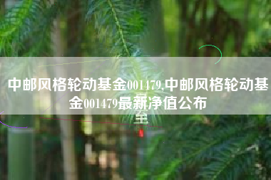 中邮风格轮动基金001479,中邮风格轮动基金001479最新净值公布