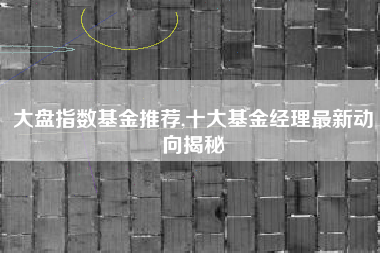 大盘指数基金推荐,十大基金经理最新动向揭秘