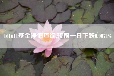 161611基金净值查询,较前一日下跌0.0071%