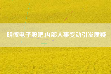 明微电子股吧,内部人事变动引发质疑