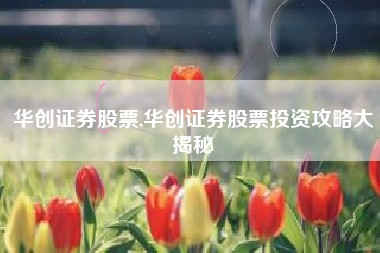 华创证券股票,华创证券股票投资攻略大揭秘