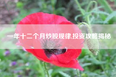 一年十二个月炒股规律,投资攻略揭秘