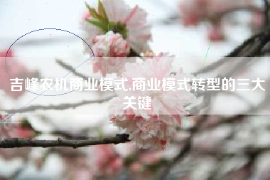 吉峰农机商业模式,商业模式转型的三大关键