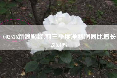 002536新浪财经,前三季度净利润同比增长286.49%
