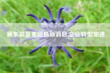 冀东装备重组最新消息,企业转型加速