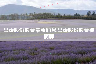 粤泰股份股票最新消息,粤泰股份股票被摘牌