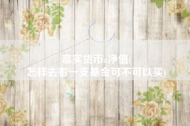 嘉实货币a净值(
怎样去看一支基金可不可以买)