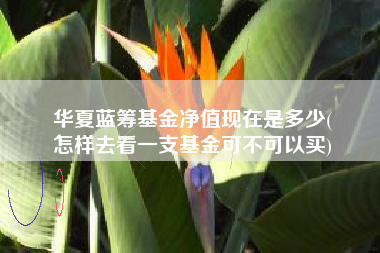 华夏蓝筹基金净值现在是多少(
怎样去看一支基金可不可以买)