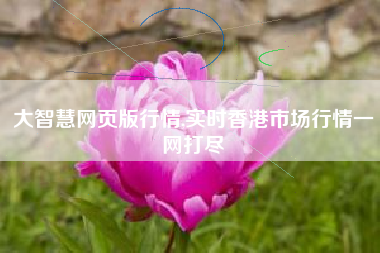 大智慧网页版行情,实时香港市场行情一网打尽