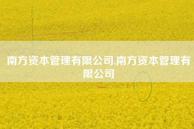 南方资本管理有限公司,南方资本管理有限公司