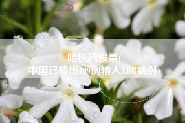 哈医药股票(
中国已检出199例输入XBB病例)
