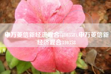 申万菱信新经济混合(310358),申万菱信新经济混合310358