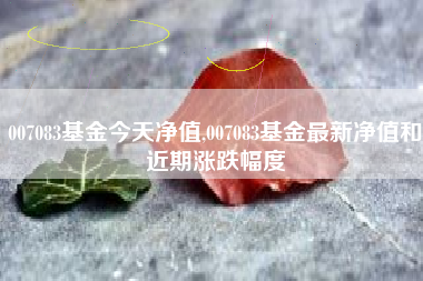 007083基金今天净值,007083基金最新净值和近期涨跌幅度