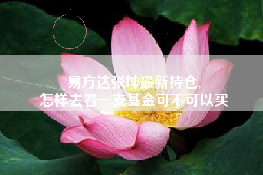 易方达张坤最新持仓,
怎样去看一支基金可不可以买