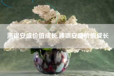 浦银安盛价值成长,浦银安盛价值成长
