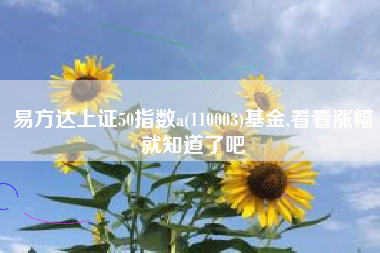 易方达上证50指数a(110003)基金,看看涨幅就知道了吧
