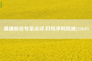 盛通股份专家点评,归母净利同减2120.8%
