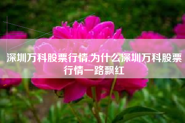 深圳万科股票行情,为什么深圳万科股票行情一路飘红