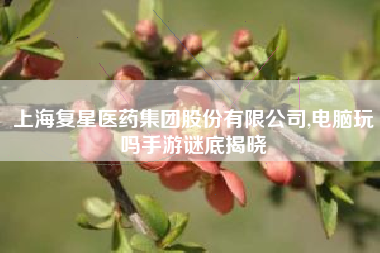 上海复星医药集团股份有限公司,电脑玩吗手游谜底揭晓