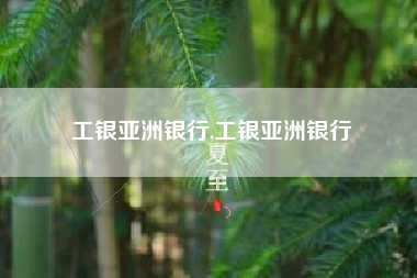 工银亚洲银行,工银亚洲银行