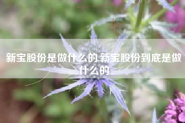 新宝股份是做什么的,新宝股份到底是做什么的