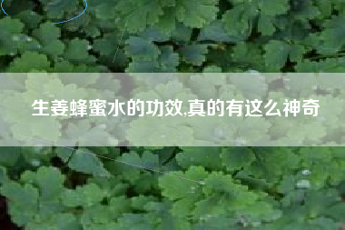 生姜蜂蜜水的功效,真的有这么神奇