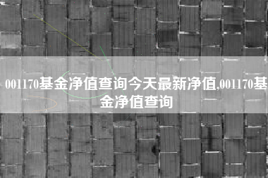 001170基金净值查询今天最新净值,001170基金净值查询