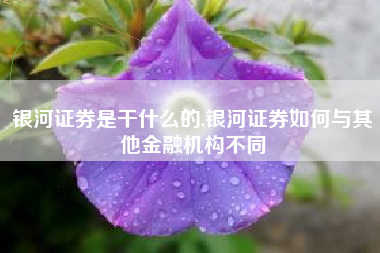 银河证券是干什么的,银河证券如何与其他金融机构不同