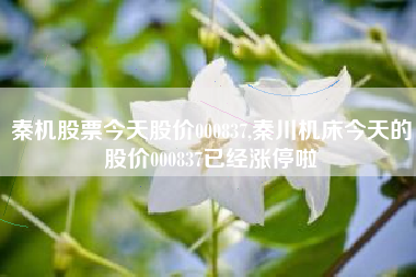 秦机股票今天股价000837,秦川机床今天的股价000837已经涨停啦