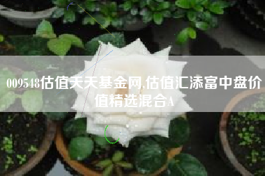 009548估值天天基金网,估值汇添富中盘价值精选混合A
