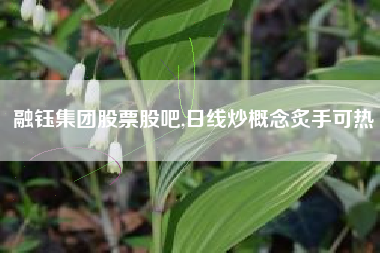 融钰集团股票股吧,日线炒概念炙手可热