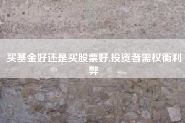 买基金好还是买股票好,投资者需权衡利弊