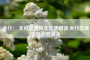 央行： 支持民营房企发债融资,央行怎样支持民营房企