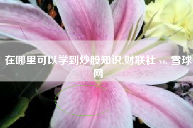 在哪里可以学到炒股知识,财联社 vs. 雪球网