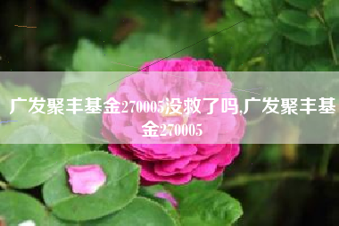 广发聚丰基金270005没救了吗,广发聚丰基金270005