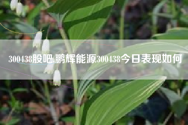 300438股吧,鹏辉能源300438今日表现如何