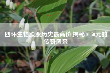四环生物股票历史最高价,揭秘10.50元的传奇风采