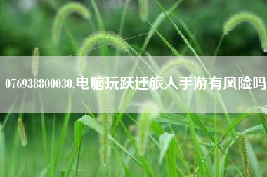 076938800030,电脑玩跃迁旅人手游有风险吗