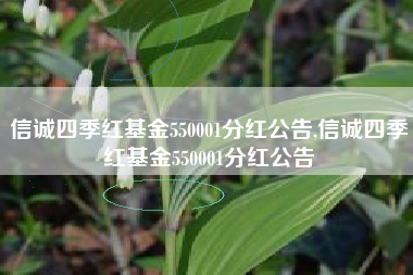 信诚四季红基金550001分红公告,信诚四季红基金550001分红公告