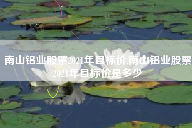 南山铝业股票2021年目标价,南山铝业股票2021年目标价是多少
