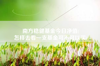 南方稳健基金今日净值(
怎样去看一支基金可不可以买)