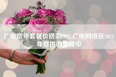 广电宽带套餐价格表2022,广电网络在2022年提供的套餐中