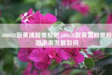 600638新黄浦股票股吧,600638新黄浦股票股吧未来发展如何