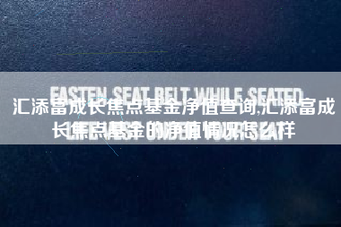 汇添富成长焦点基金净值查询,汇添富成长焦点基金的净值情况怎么样