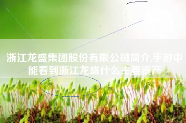 浙江龙盛集团股份有限公司简介,手游中能看到浙江龙盛什么主要资产