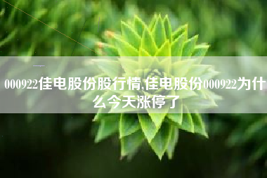 000922佳电股份股行情,佳电股份000922为什么今天涨停了