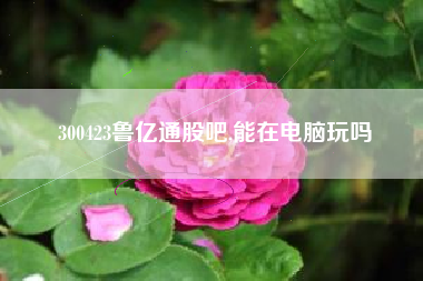 300423鲁亿通股吧,能在电脑玩吗