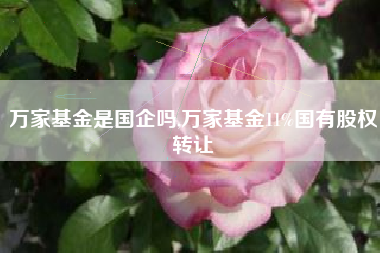 万家基金是国企吗,万家基金11%国有股权转让
