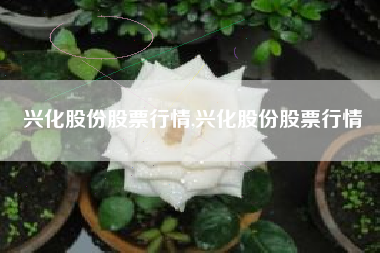 兴化股份股票行情,兴化股份股票行情