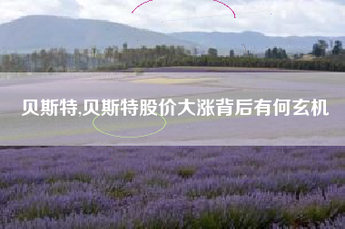 贝斯特,贝斯特股价大涨背后有何玄机